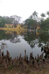 SAM_2487